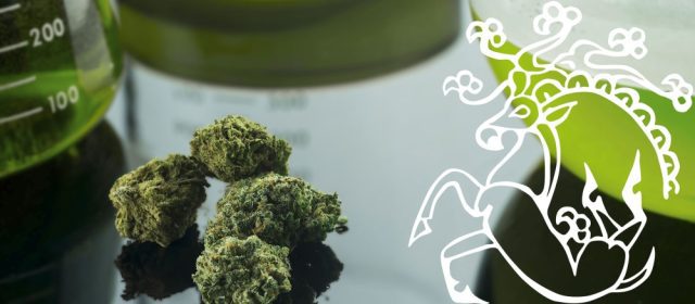 Cannabis Terapeutica Sirca