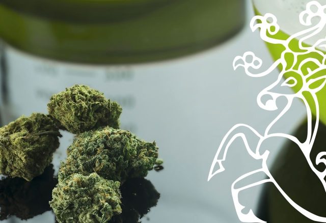 CONGRESSO NAZIONALE SIRCA: Cannabis Terapeutica