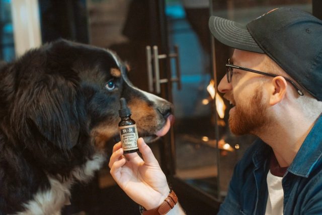 CBD (cannabidiolo) ad uso veterinario