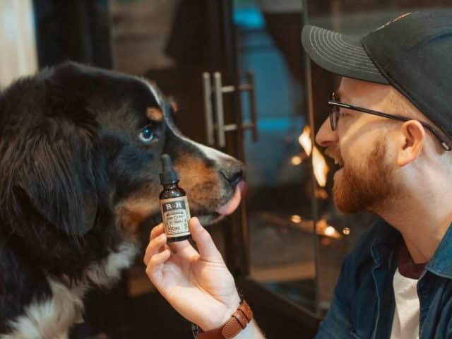 CBD (cannabidiolo) ad uso veterinario