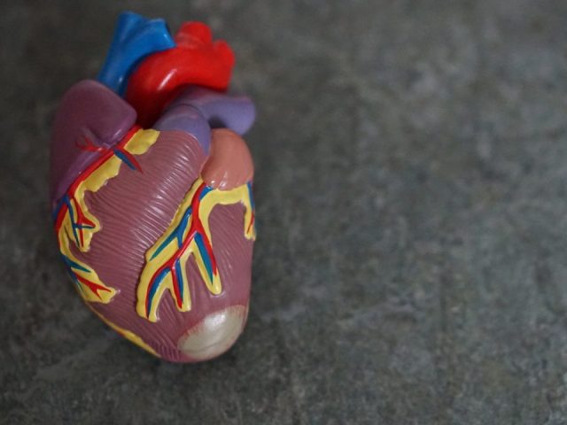 Pressione Sanguigna, Ipertensione e Frequenza Cardiaca: Guida Completa alla Salute Cardiovascolare